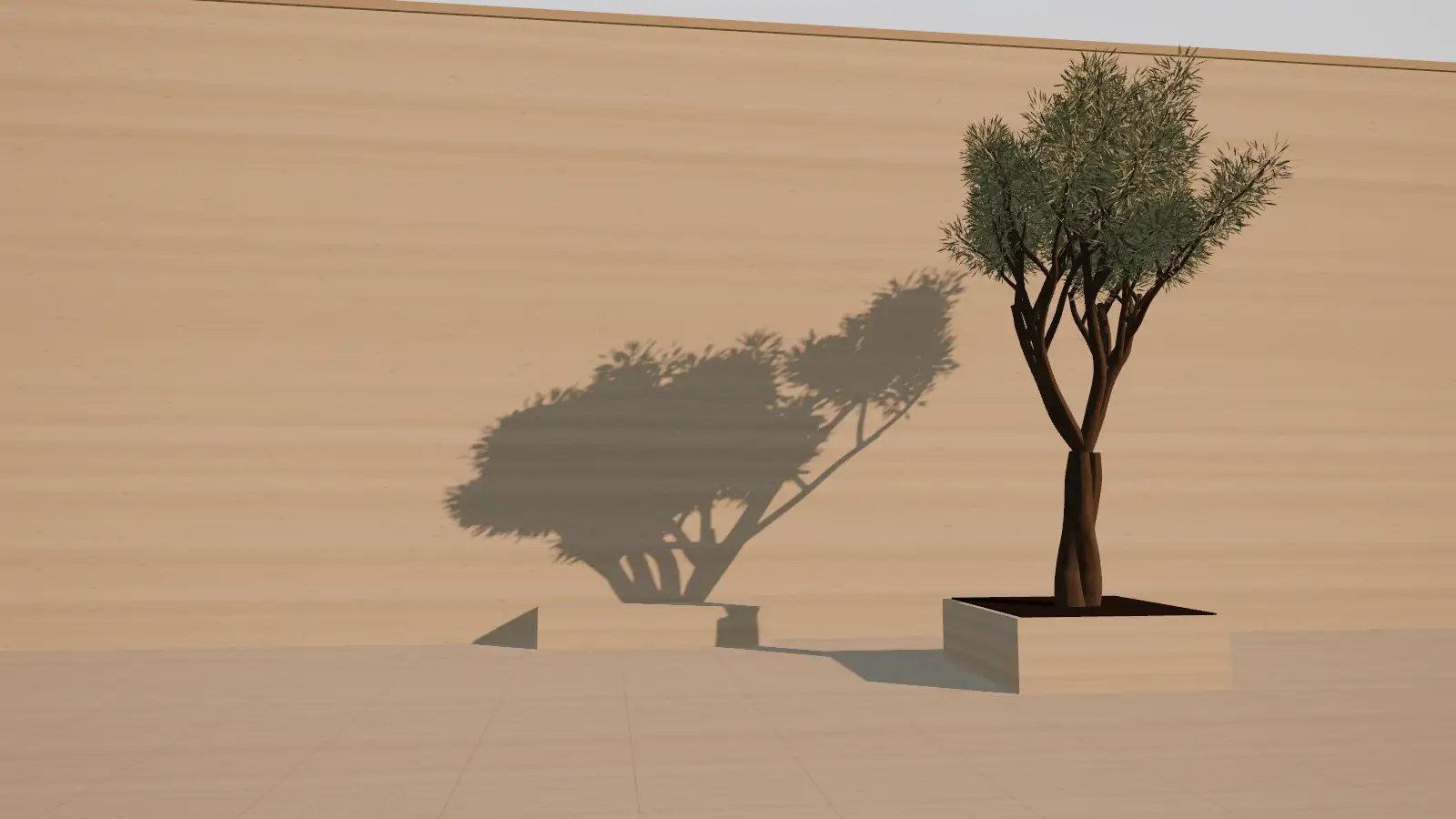 Illustration: an old olive tree in a stone planter in a quiet limestone courtyard, its leaf shadows moving across the wall as the sun travels from morning to golden hour.