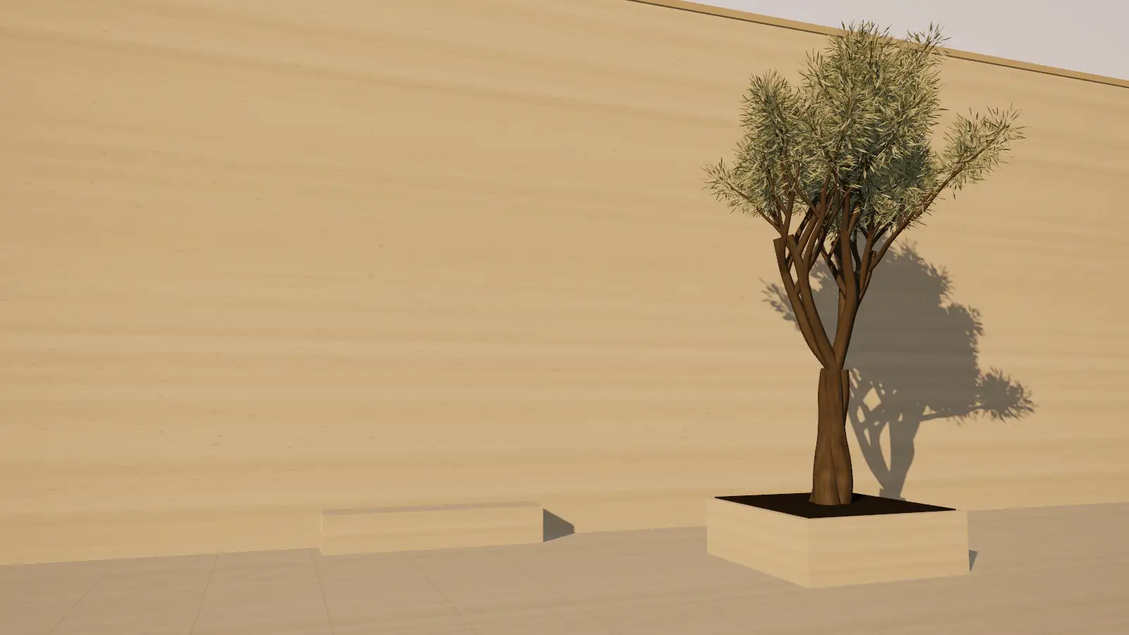 Illustration: an old olive tree in a stone planter in a quiet limestone courtyard, its leaf shadows moving across the wall as the sun travels from morning to golden hour.